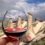 Wine Tasting
