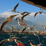 Bosphorus16