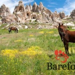 Cappadocia-horseback-riding-turkey3