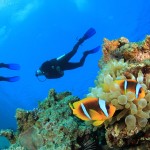 Diving - kas - turkey