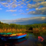 Sile, Agva, Masukiye, Sapanca